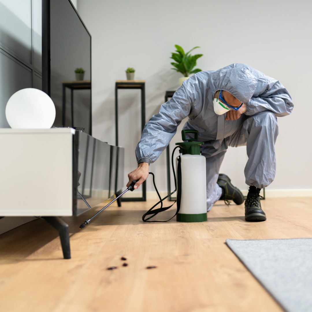 General pest control